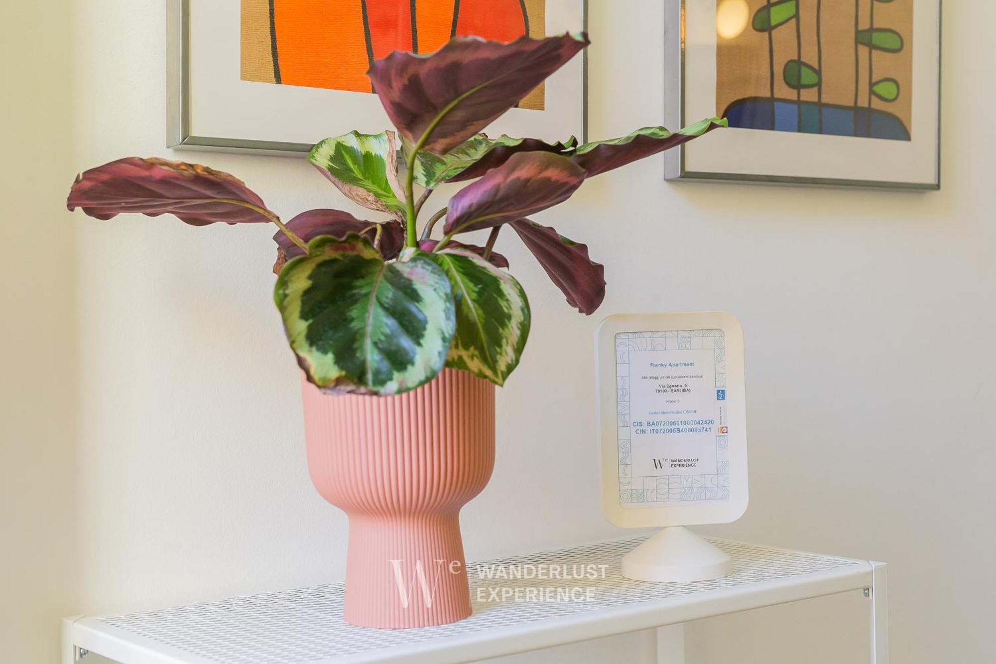 Wanderlust Experience Frankly Apartment Bari Bagian luar foto